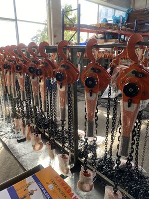 comprare 1.5m Manuale leva catena sollevamento 1 tonnellata capacità pesante attrezzo a mano strumento di sollevamento per impianti industriali online manufacture